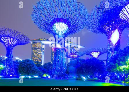 Die abendliche Lichtshow im Supertree Grove of the Gardens an der Bucht in Singapur. Das Marina Bay Sands Hotel ist im Hintergrund zu sehen. Stockfoto