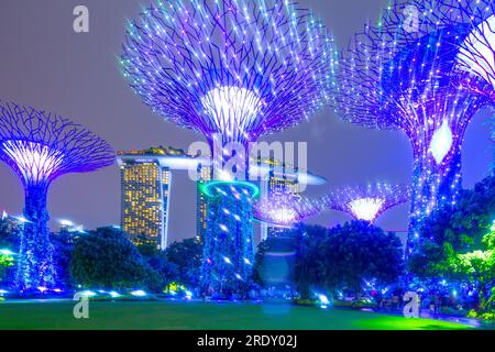 Die abendliche Lichtshow im Supertree Grove of the Gardens an der Bucht in Singapur. Das Marina Bay Sands Hotel ist im Hintergrund zu sehen. Stockfoto