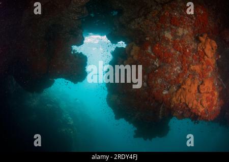 Blick von der Höhle, Farondi Höhlentauchplatz, Farondi, Raja Ampat, West Papua, Indonesien Stockfoto