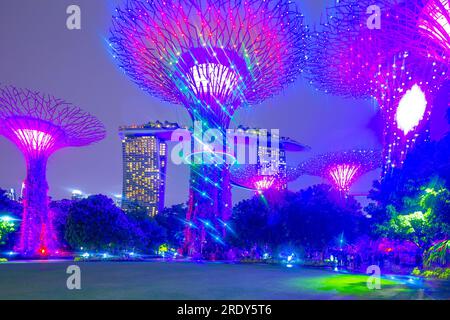 Die abendliche Lichtshow im Supertree Grove of the Gardens an der Bucht in Singapur. Das Marina Bay Sands Hotel ist im Hintergrund zu sehen. Stockfoto