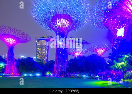 Die abendliche Lichtshow im Supertree Grove of the Gardens an der Bucht in Singapur. Das Marina Bay Sands Hotel ist im Hintergrund zu sehen. Stockfoto
