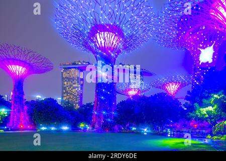 Die abendliche Lichtshow im Supertree Grove of the Gardens an der Bucht in Singapur. Das Marina Bay Sands Hotel ist im Hintergrund zu sehen. Stockfoto