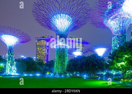 Die abendliche Lichtshow im Supertree Grove of the Gardens an der Bucht in Singapur. Das Marina Bay Sands Hotel ist im Hintergrund zu sehen. Stockfoto