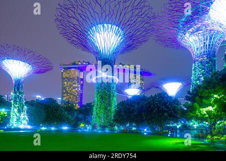 Die abendliche Lichtshow im Supertree Grove of the Gardens an der Bucht in Singapur. Das Marina Bay Sands Hotel ist im Hintergrund zu sehen. Stockfoto