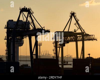 Der Hafen von Alexandria liegt an der nördlichen Mittelmeerküste Ägyptens, westlich des Nildeltas. Es ist einer der ältesten Häfen in der Region W. Stockfoto