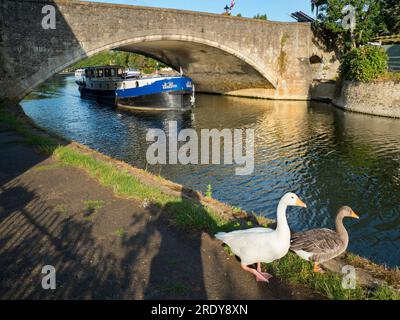 Die Themse in Abingdon, früh am Sommermorgen. Ein Hausboot fährt an der Abingdon Bridge vorbei. Diese berühmte mittelalterliche Brücke wurde 1416 begonnen und vervollständigt mich Stockfoto