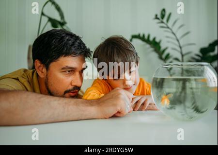 Vater und Sohn sehen sich Fische in der Schüssel an Stockfoto