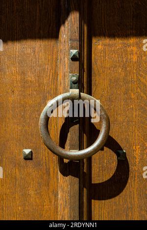 Detailansicht eines Messingklopfers an einer Holztür Stockfoto