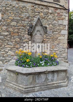 C) Denis TRASFI / MAXPPP - Frankreich, Bretagne, Morbihan, Ville de Vannes le 21 juillet 2023 - Fontaine fleurie de la Place Valencia / Frankreich, Bretagne, Stockfoto