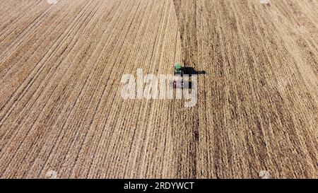 Traktor pflügt den Boden. Sie fliegen über einen grünen Traktor, der nach der Weizenernte am sonnigen Herbsttag auf gelbem Feld den Boden pflügt. Traktor gräbt Land. Landwirtschaftliche Feldarbeiten. Draufsicht Stockfoto