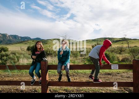 Schwestern schauen in die Kamera, während der Bruder draußen in der Natur auf einen Zaun klettert Stockfoto