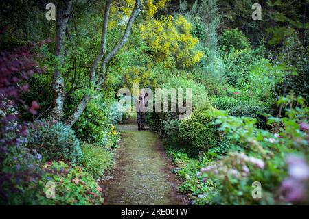 Der alte Mann steht in einem wunderschönen, üppigen englischen Garten Stockfoto