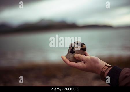 Hand mit Stein vor dem Bergsee Stockfoto