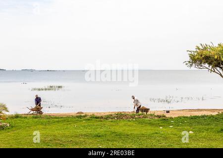 Sienna Beach, grenzt an Lake Victoria in Entebbe, Uganda. Stockfoto