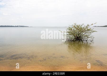 Sienna Beach, grenzt an Lake Victoria in Entebbe, Uganda. Stockfoto