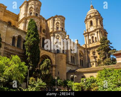 Heilige Kirche Kathedrale Basilika der Inkarnation in Malaga - Spanien Stockfoto