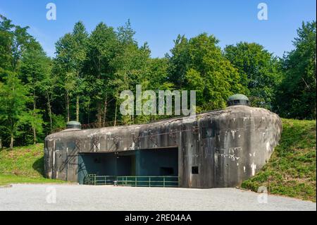 Bunker der ehemaligen Maginot-Linie, hier Munitionseingang der Artillerie Schoenenbourg, Hunspach, Elsass, Frankreich, Europa Stockfoto