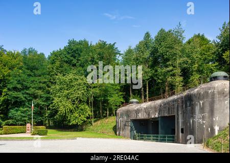 Bunker der ehemaligen Maginot-Linie, hier Munitionseingang der Artillerie Schoenenbourg, Hunspach, Elsass, Frankreich, Europa Stockfoto