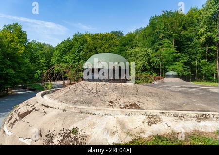 Bunker der ehemaligen Maginot Line, hier Maschinengewehrtürme am Munitionseingang der Artillerie Schoenenbourg, Hunspach, Elsass, Frankreich, Europa Stockfoto