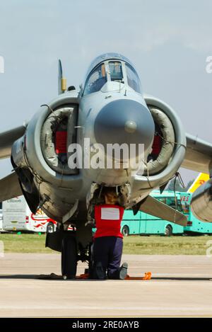 Royal Navy BAE Sea Harrier FA2 Kampfflugzeug auf der Royal International Air Tattoo Airshow, Großbritannien. Ingenieurin Stockfoto