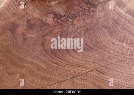 Flecken auf einer wunderschönen Holzplatte aus schwarzem Walnussholz Stockfoto