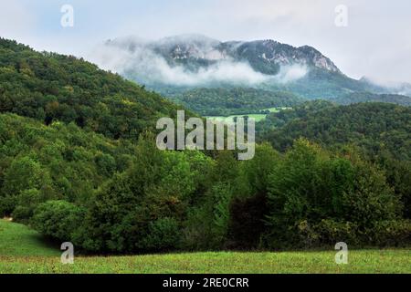 Grüner, dichter Wald mit einem großen Felsen im Hintergrund, umhüllt von Nebel. Herbstliche Berglandschaft. Früh am Morgen. Vrsatec, Slowakei Stockfoto