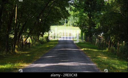 Wunderschöne Nebenstraße umgeben von grüner Vegetation im Sommer. Sonniger Tag. Baumschatten. Monflanquin, Frankreich. Stockfoto