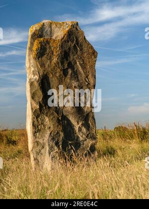 Einer der großen jungsteinzeitlichen Sarsen Stones, die die West Kennet Avenue im Dorf Wiltshire Avebury säumen. Stockfoto