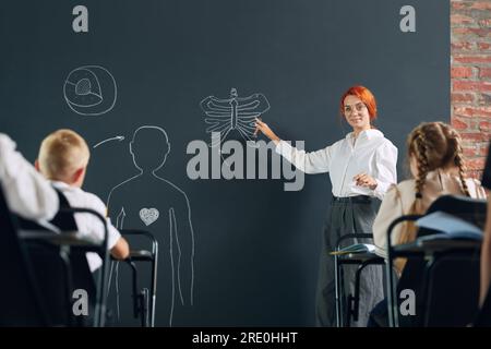Junge rothaarige Frau, Lehrerin, die an der Tafel steht und kleinen Kindern in der Grundschule Anatomie beibringt Stockfoto