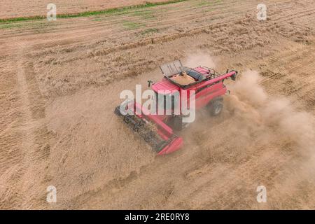 Draufsicht, Mähdrescher im Weizenfeld Stockfoto