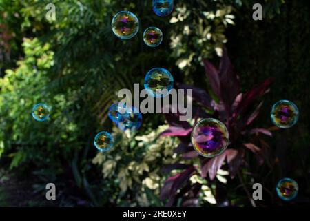 Heller festlicher Hintergrund mit fliegenden glänzenden Seifenblasen auf grünem tropischem Hintergrund Stockfoto