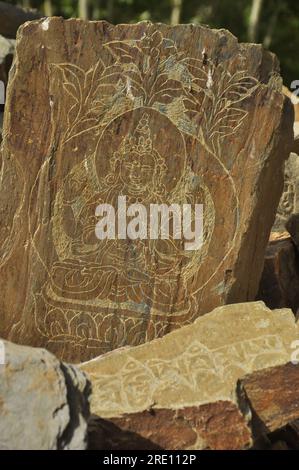 Heilige buddhistische geschnitzte Steine in Ladakh Stockfoto