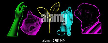 Collage-Designelemente im trendigen Pop-Art-Stil mit Punktmuster. Retro-Halbtoneffekt. Blume, Hand, Katze. Vektordarstellung mit klassischem Grunge-Punk-Ausschnitt Stock Vektor