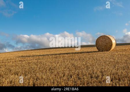 Ein einsamer Heuballen mit einem langen Schatten an einem sonnigen Sommerabend Stockfoto