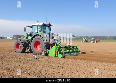 Kartoffelanbau, maschinelle Aussaat mit Traktor und Durchfahrt des Grabkamms, der 2 Kämme, erhöhter Boden, für 4 Reihen vorbereitet. Stockfoto