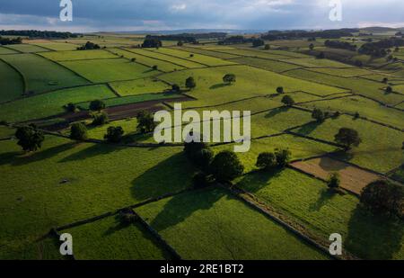 Blick über die Landschaft des Derbyshire Peak District bei Monyash mit Trockenmauern Stockfoto