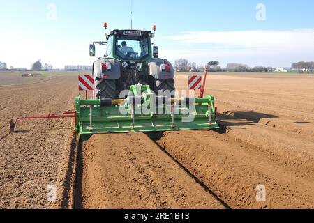 Kartoffelanbau, maschinelle Aussaat mit Traktor und Durchfahrt des Grabkamms, der 2 Kämme, erhöhter Boden, für 4 Reihen vorbereitet. Stockfoto