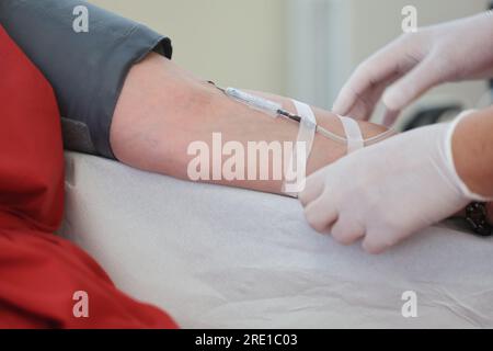 Erfurt, Deutschland. 24. Juli 2023. Eine Venenkanüle wird während einer Blutspende in einem Raum des Hama Blood Spender Center am Arm des Spenders befestigt. Während einer Spende werden auch Informationen über die Bedeutung von Blut- und Plasmaspenden bereitgestellt. Kredit: Bodo Schackow/dpa/Alamy Live News Stockfoto