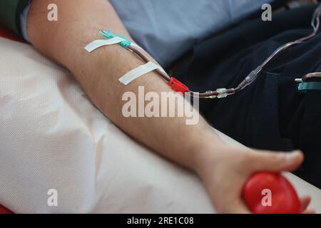 Erfurt, Deutschland. 24. Juli 2023. Eine Venenkanüle wird während einer Blutspende in einem Raum des Hama Blood Spender Center am Arm des Spenders befestigt. Während einer Spende werden auch Informationen über die Bedeutung von Blut- und Plasmaspenden bereitgestellt. Kredit: Bodo Schackow/dpa/Alamy Live News Stockfoto