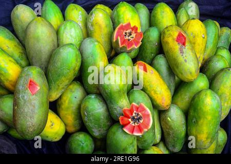 Eine Sammlung kalifornischer Papayas, eine der Papayasorten, die in Indonesien angebaut werden Stockfoto