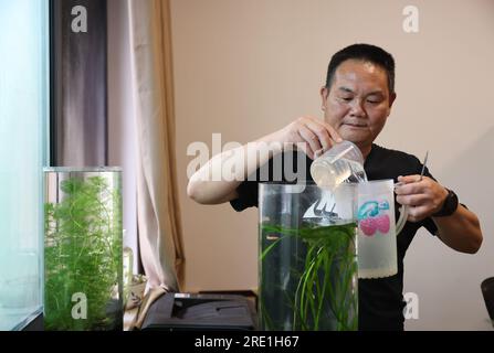 (230724) -- YUEYANG, 24. Juli 2023 (Xinhua) -- Xie Yonghong Pflaumen Submerged Plants at an Office of the Institute of Subtropical Agriculture of the CAS in Changsha, Central China's Hunan Province, 8. Juli 2023. Xie Yonghong leitet die Dongting Lake Station for Wetland Ecosystem Research unter der Chinesischen Akademie der Wissenschaften (CAS). Forscher führen Studien über das Ökosystem des Feuchtgebiets am Dongting Lake in dieser Station durch, die 2009 gegründet wurde. Xie Yonghong spielt seit der Vorbereitungsphase 2007 eine wichtige Rolle bei der Errichtung dieser Station. Seit 2009, Xie Yo Stockfoto