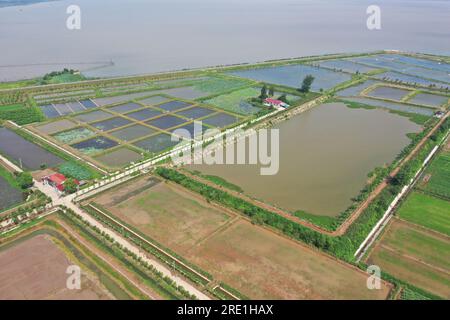 (230724) -- YUEYANG, 24. Juli 2023 (Xinhua) -- Dieses Luftfoto, das am 10. Juli 2023 aufgenommen wurde, zeigt eine Forschungsbasis der CAS für die Umwandlung und Entwicklung von Agrargrün in Heba, Datong Lake District in Yiyang, Zentralchina Provinz Hunan. Der Datong-See befindet sich in der zentralen Region des Dongting-Sees und ist als „das Herz des Dongting-Sees“ bekannt. Xie Yonghong leitet die Dongting Lake Station for Wetland Ecosystem Research unter der Chinesischen Akademie der Wissenschaften (CAS). Forscher führen Studien über das Ökosystem des Dongting Lake Feuchtgebiets in dieser Station durch, die gefunden wurde Stockfoto