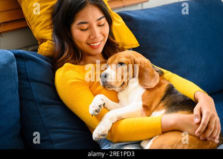 Ein Beagle-Welpe, ein Hund, der tagsüber auf dem Boden in einem Heim läuft. Stockfoto