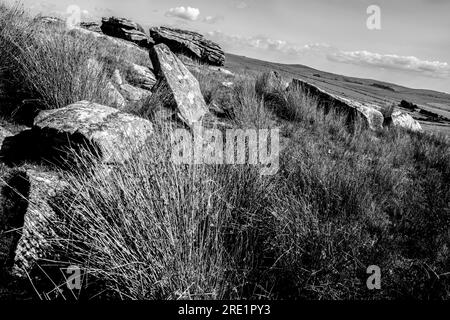 Granitsteine auf Bodmin Moor Cornwall UK Stockfoto