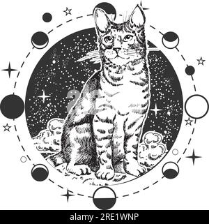 Süße Katze über der ganzen Länge über bewölktem Sternenhimmel rund um das Bo-Symbol Stock Vektor