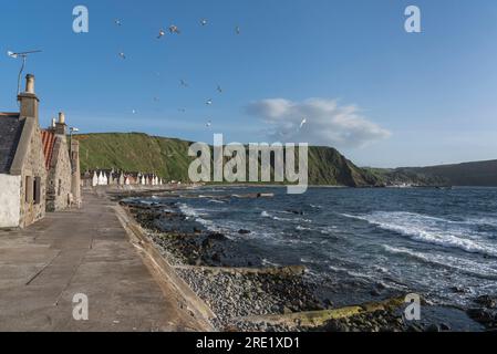 Kleines Fischerdorf an der Nordküste schottlands Stockfoto