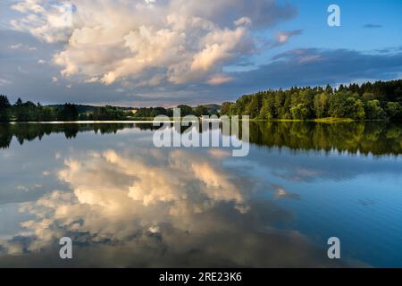 Ein bayerischer See (Postfeldener Stausee) im Naturschutzgebiet Höllbachtal zur goldenen Stunde, wobei der Himmel im See reflektiert. Deutschland. Stockfoto