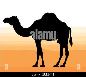 Kamel und Wandern im Sonnenuntergang Vektor, Silhouette einer Kamelkarawane mit Kamel in der Wüste auf den Bergen, Vektor Illustration. Stock Vektor