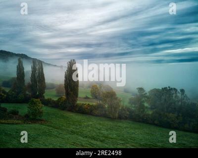 Nebiges Tal in Süddeutschland I Stockfoto