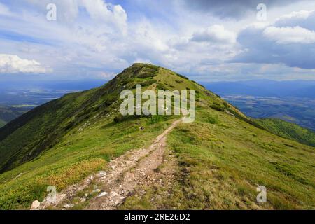 Mladky, Westtatra, Slowakei. Berglandschaft im Sommer an sonnigen Tagen. Fußweg zum Gipfel des Berges. Weitwinkel mit Stockfoto